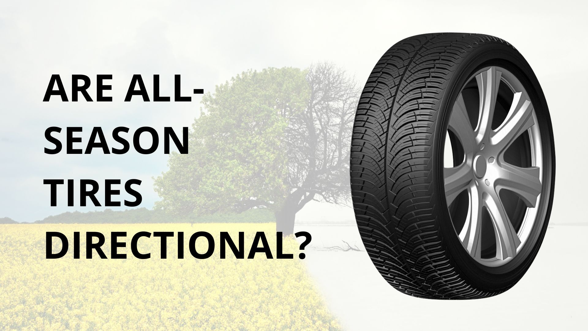 Let's see whether it is common that all-season tires are directional